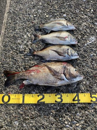 ダメ元で行ったら・・・